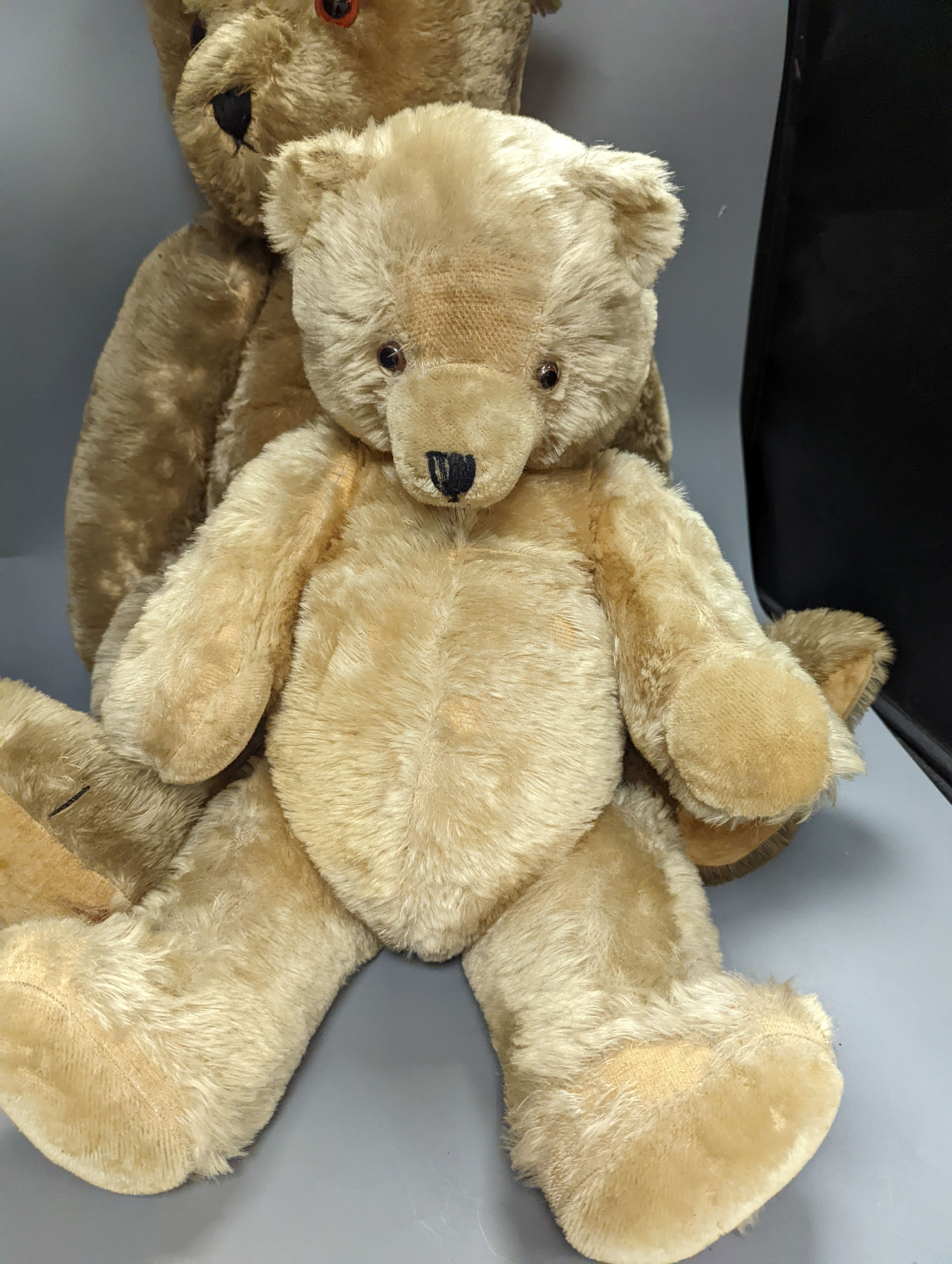 A large English teddy bear and two other teddy bears